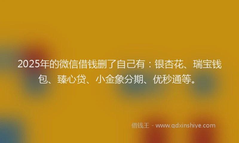 2025年的微信借钱删了自己有：银杏花、瑞宝钱包、臻心贷、小金象分期、优秒通等。