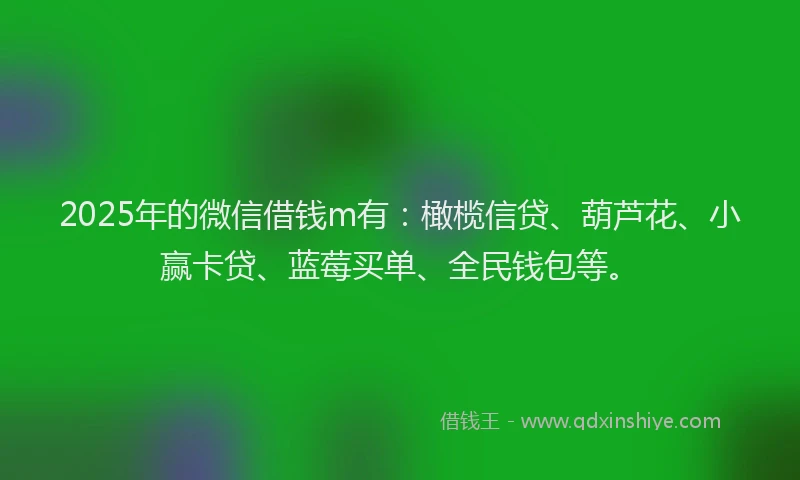 2025年的微信借钱m有：橄榄信贷、葫芦花、小赢卡贷、蓝莓买单、全民钱包等。