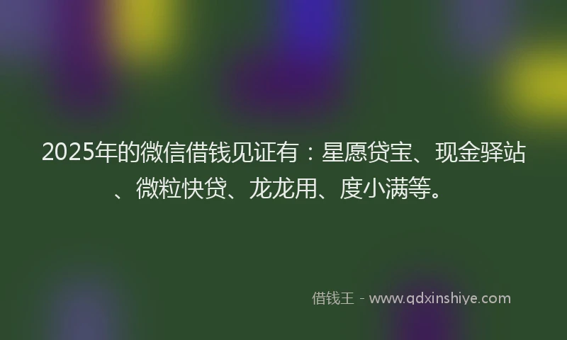 2025年的微信借钱见证有：星愿贷宝、现金驿站、微粒快贷、龙龙用、度小满等。