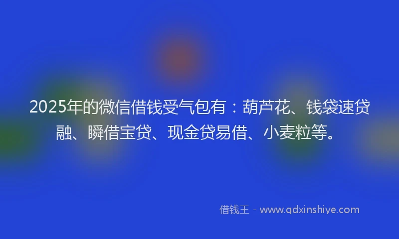 2025年的微信借钱受气包有：葫芦花、钱袋速贷融、瞬借宝贷、现金贷易借、小麦粒等。