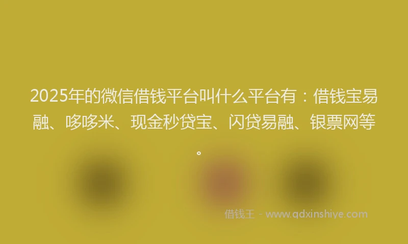 2025年的微信借钱平台叫什么平台有：借钱宝易融、哆哆米、现金秒贷宝、闪贷易融、银票网等。