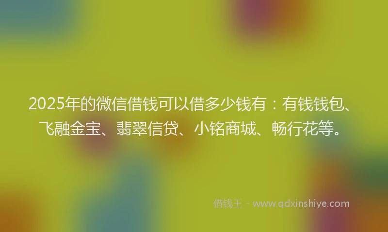 2025年的微信借钱可以借多少钱有：有钱钱包、飞融金宝、翡翠信贷、小铭商城、畅行花等。
