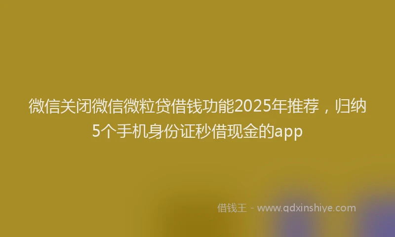 微信关闭微信微粒贷借钱功能2025年推荐，归纳5个手机身份证秒借现金的app