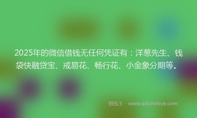 2025年的微信借钱无任何凭证有：洋葱先生、钱袋快融贷宝、戒易花、畅行花、小金象分期等。