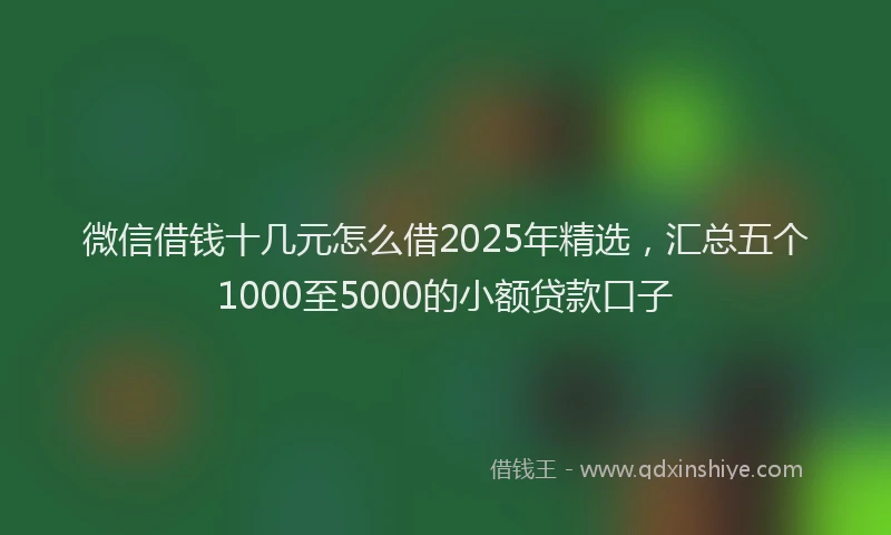微信借钱十几元怎么借2025年精选，汇总五个1000至5000的小额贷款口子