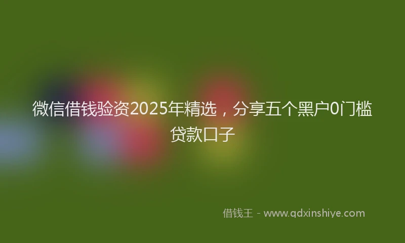 微信借钱验资2025年精选，分享五个黑户0门槛贷款口子