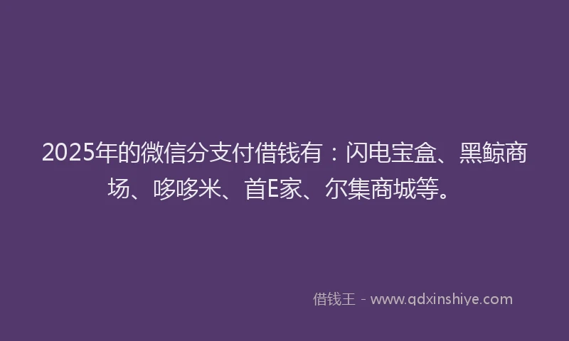 2025年的微信分支付借钱有：闪电宝盒、黑鲸商场、哆哆米、首E家、尔集商城等。
