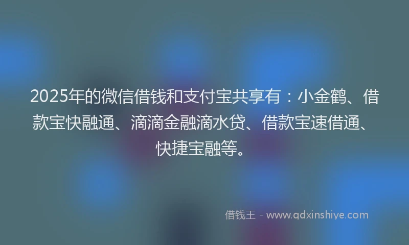 2025年的微信借钱和支付宝共享有：小金鹤、借款宝快融通、滴滴金融滴水贷、借款宝速借通、快捷宝融等。