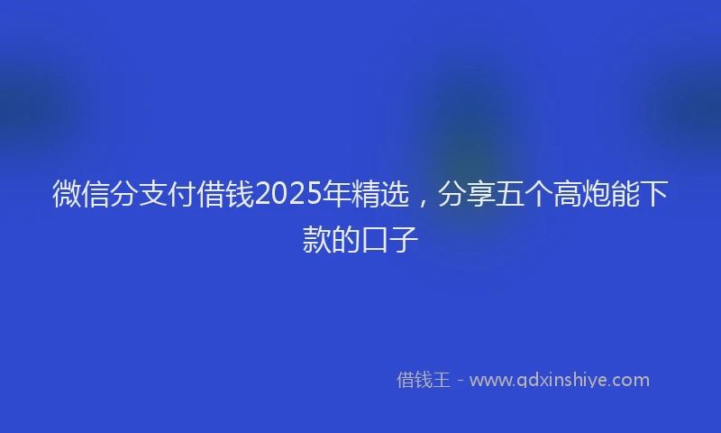 微信分支付借钱2025年精选，分享五个高炮能下款的口子