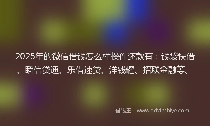 2025年的微信借钱怎么样操作还款有：钱袋快借、瞬信贷通、乐借速贷、洋钱罐、招联金融等。