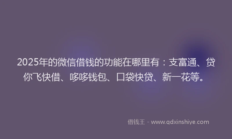 2025年的微信借钱的功能在哪里有：支富通、贷你飞快借、哆哆钱包、口袋快贷、新一花等。
