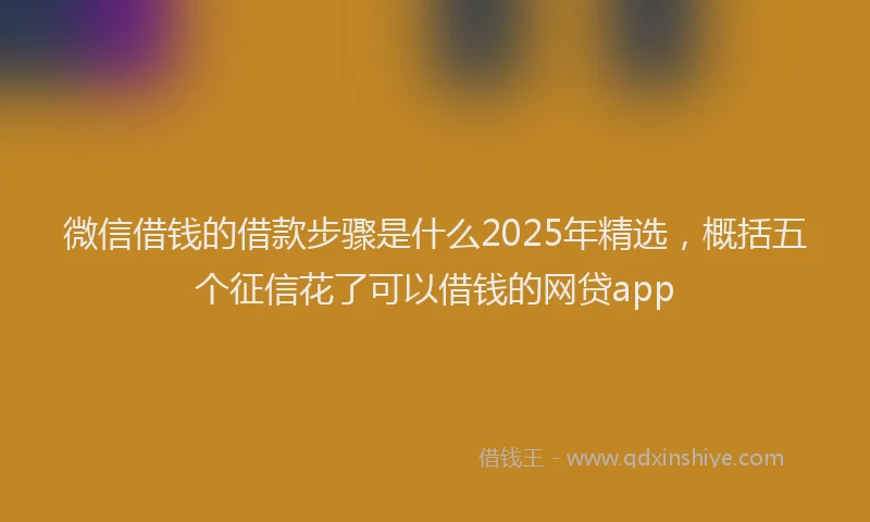 微信借钱的借款步骤是什么2025年精选，概括五个征信花了可以借钱的网贷app