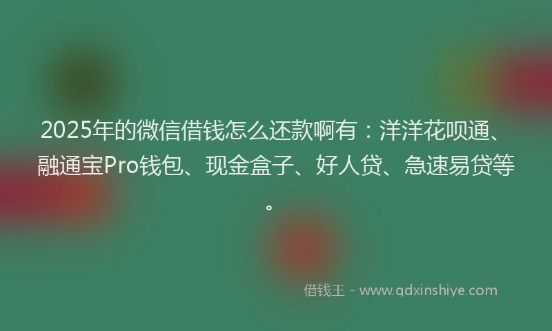 2025年的微信借钱怎么还款啊有：洋洋花呗通、融通宝Pro钱包、现金盒子、好人贷、急速易贷等。