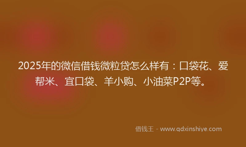 2025年的微信借钱微粒贷怎么样有：口袋花、爱帮米、宜口袋、羊小购、小油菜P2P等。