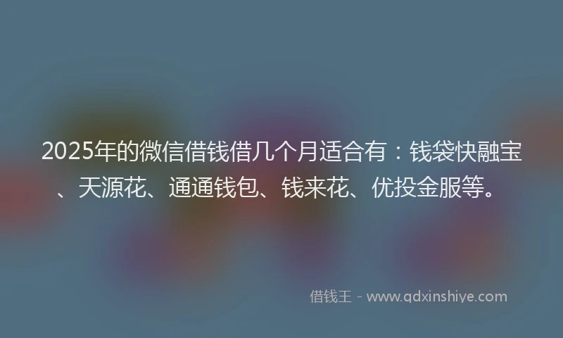 2025年的微信借钱借几个月适合有：钱袋快融宝、天源花、通通钱包、钱来花、优投金服等。