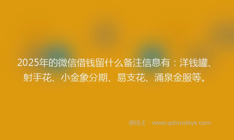 2025年的微信借钱留什么备注信息有：洋钱罐、射手花、小金象分期、易支花、涌泉金服等。