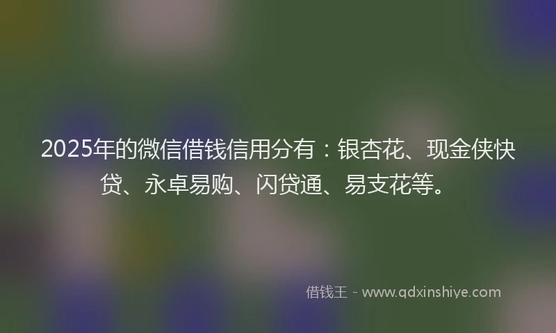 2025年的微信借钱信用分有：银杏花、现金侠快贷、永卓易购、闪贷通、易支花等。