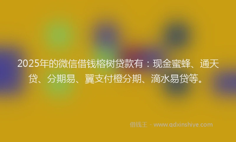 2025年的微信借钱榕树贷款有：现金蜜蜂、通天贷、分期易、翼支付橙分期、滴水易贷等。