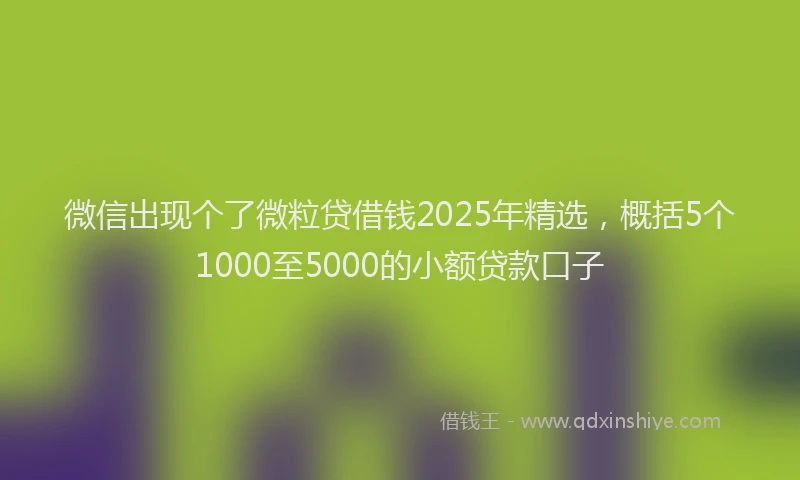 微信出现个了微粒贷借钱2025年精选，概括5个1000至5000的小额贷款口子