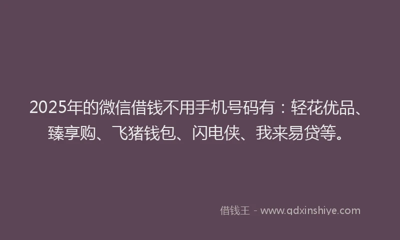2025年的微信借钱不用手机号码有：轻花优品、臻享购、飞猪钱包、闪电侠、我来易贷等。