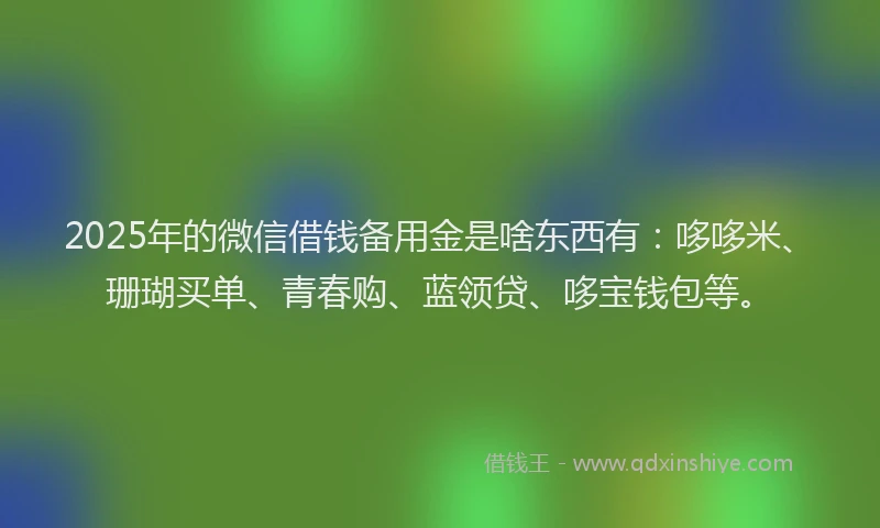 2025年的微信借钱备用金是啥东西有：哆哆米、珊瑚买单、青春购、蓝领贷、哆宝钱包等。