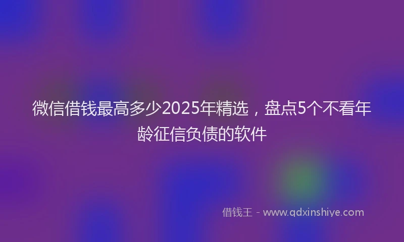 微信借钱最高多少2025年精选，盘点5个不看年龄征信负债的软件