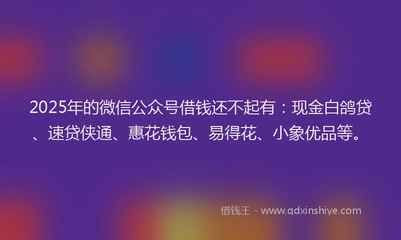 2025年的微信公众号借钱还不起有：现金白鸽贷、速贷侠通、惠花钱包、易得花、小象优品等。