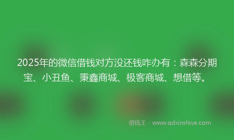 2025年的微信借钱对方没还钱咋办有：森森分期宝、小丑鱼、秉鑫商城、极客商城、想借等。
