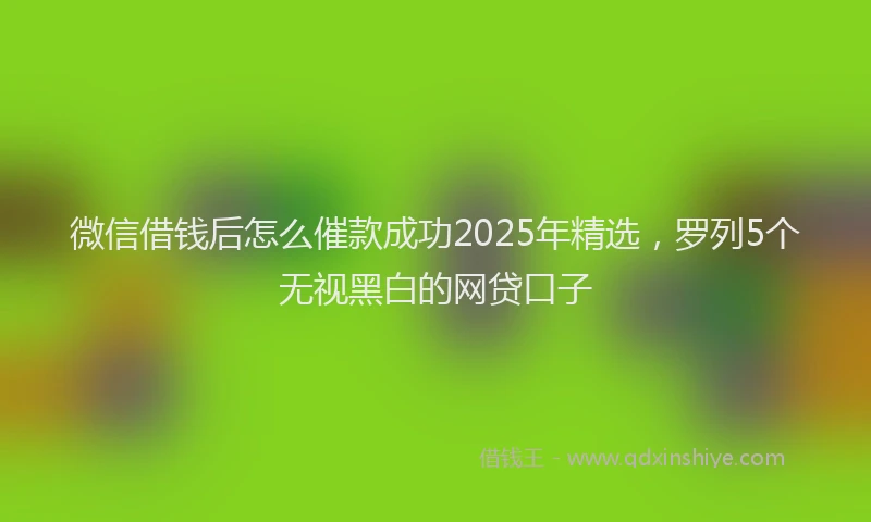微信借钱后怎么催款成功2025年精选，罗列5个无视黑白的网贷口子
