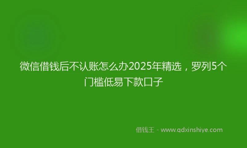 微信借钱后不认账怎么办2025年精选，罗列5个门槛低易下款口子