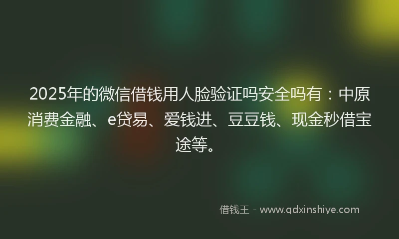 2025年的微信借钱用人脸验证吗安全吗有：中原消费金融、e贷易、爱钱进、豆豆钱、现金秒借宝途等。