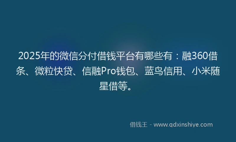 2025年的微信分付借钱平台有哪些有：融360借条、微粒快贷、信融Pro钱包、蓝鸟信用、小米随星借等。