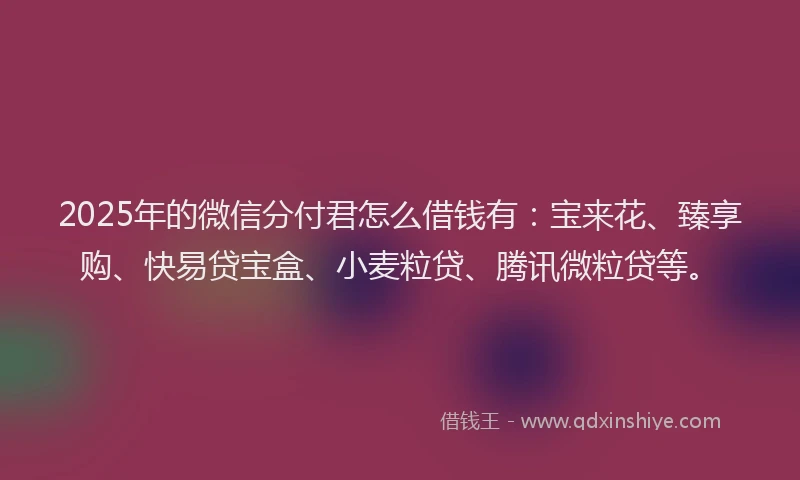 2025年的微信分付君怎么借钱有：宝来花、臻享购、快易贷宝盒、小麦粒贷、腾讯微粒贷等。