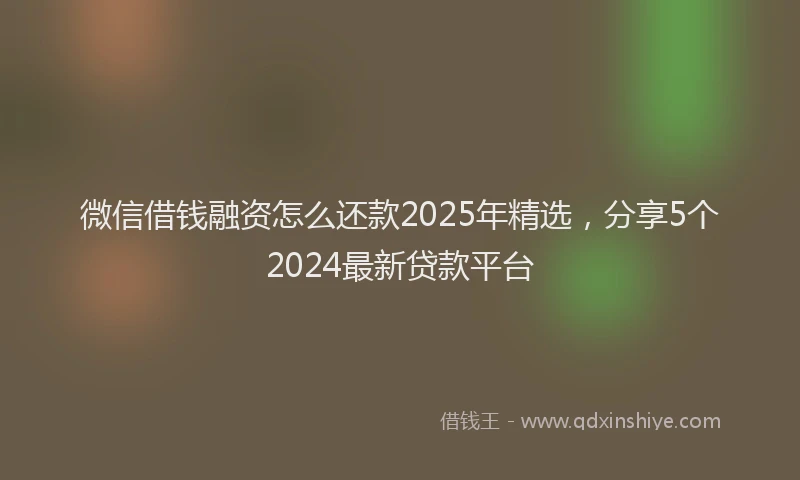 微信借钱融资怎么还款2025年精选，分享5个2024最新贷款平台