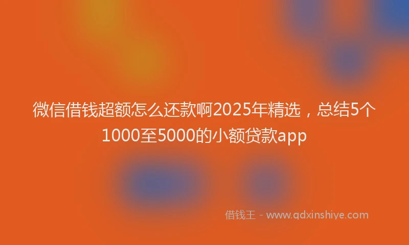 微信借钱超额怎么还款啊2025年精选，总结5个1000至5000的小额贷款app