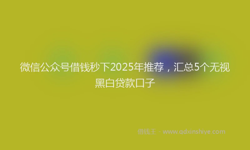 微信公众号借钱秒下2025年推荐，汇总5个无视黑白贷款口子