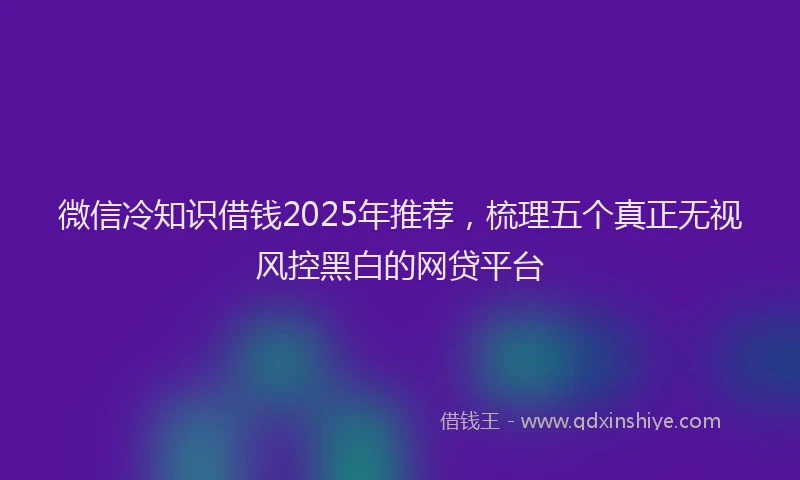 微信冷知识借钱2025年推荐，梳理五个真正无视风控黑白的网贷平台