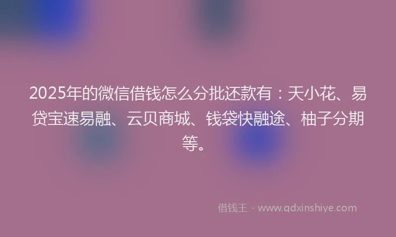 2025年的微信借钱怎么分批还款有：天小花、易贷宝速易融、云贝商城、钱袋快融途、柚子分期等。