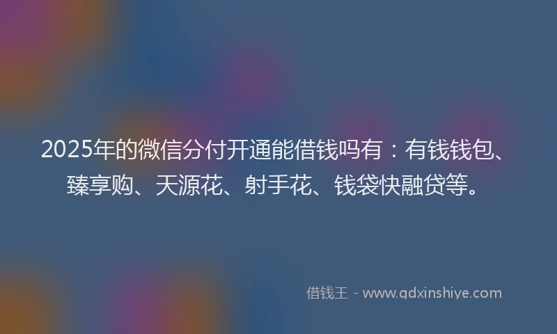 2025年的微信分付开通能借钱吗有：有钱钱包、臻享购、天源花、射手花、钱袋快融贷等。