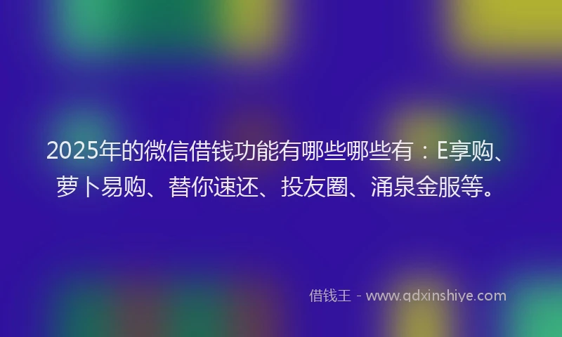 2025年的微信借钱功能有哪些哪些有：E享购、萝卜易购、替你速还、投友圈、涌泉金服等。