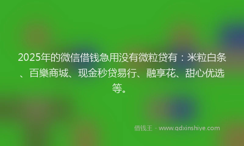 2025年的微信借钱急用没有微粒贷有：米粒白条、百樂商城、现金秒贷易行、融享花、甜心优选等。