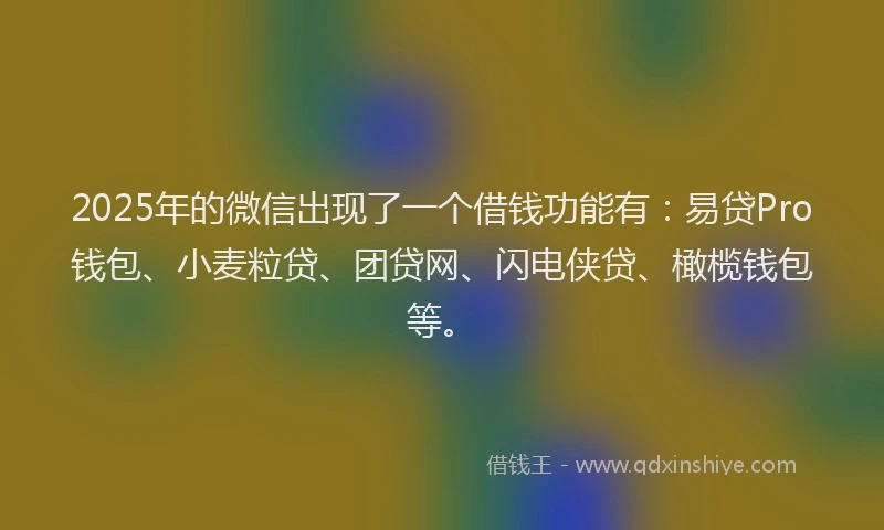 2025年的微信出现了一个借钱功能有：易贷Pro钱包、小麦粒贷、团贷网、闪电侠贷、橄榄钱包等。