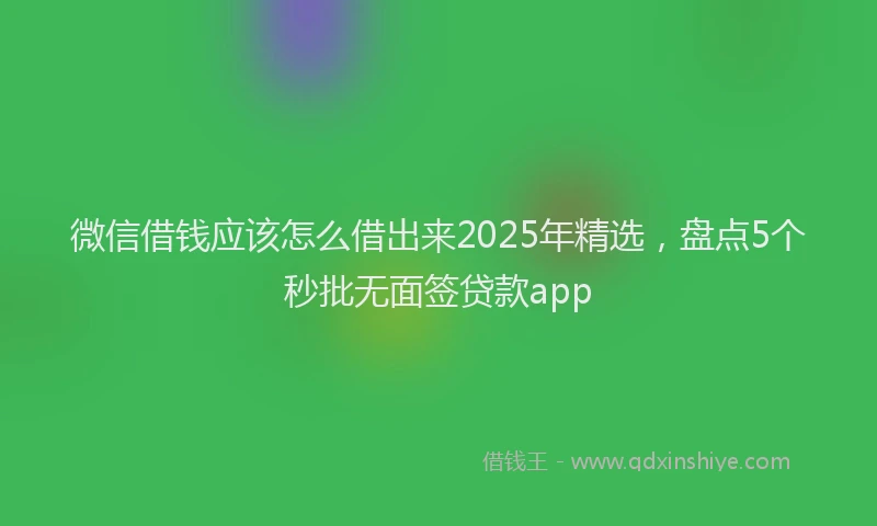 微信借钱应该怎么借出来2025年精选，盘点5个秒批无面签贷款app