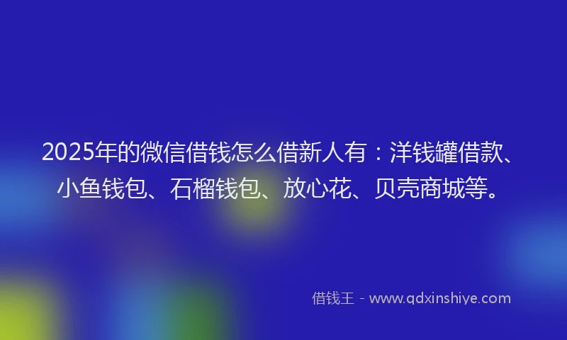 2025年的微信借钱怎么借新人有：洋钱罐借款、小鱼钱包、石榴钱包、放心花、贝壳商城等。