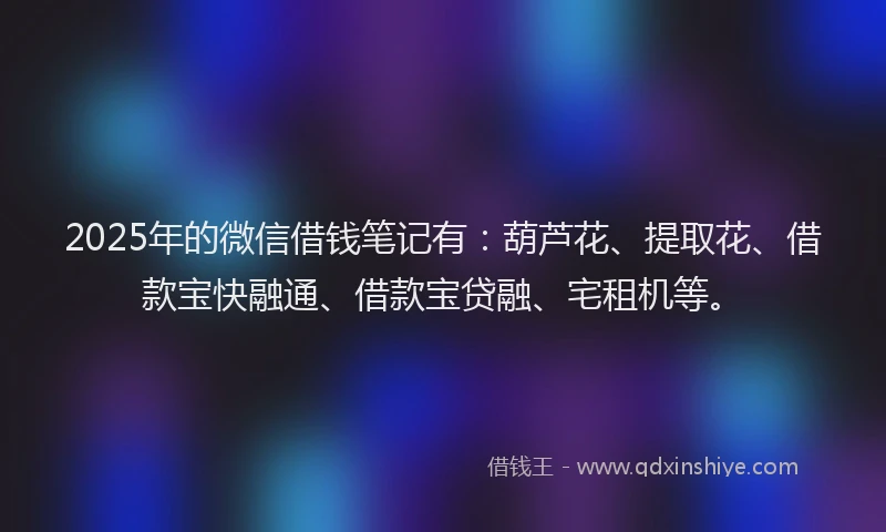 2025年的微信借钱笔记有：葫芦花、提取花、借款宝快融通、借款宝贷融、宅租机等。