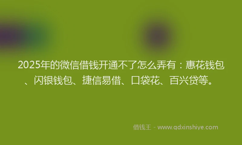 2025年的微信借钱开通不了怎么弄有：惠花钱包、闪银钱包、捷信易借、口袋花、百兴贷等。
