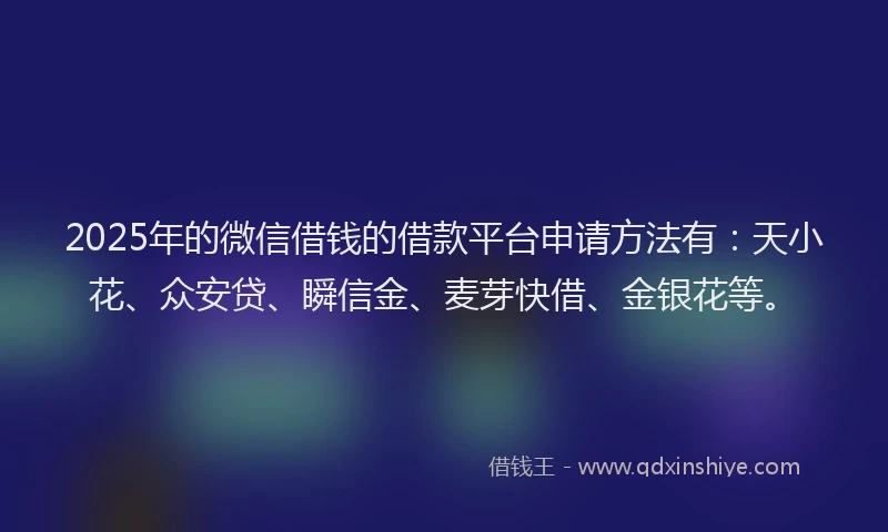 2025年的微信借钱的借款平台申请方法有：天小花、众安贷、瞬信金、麦芽快借、金银花等。
