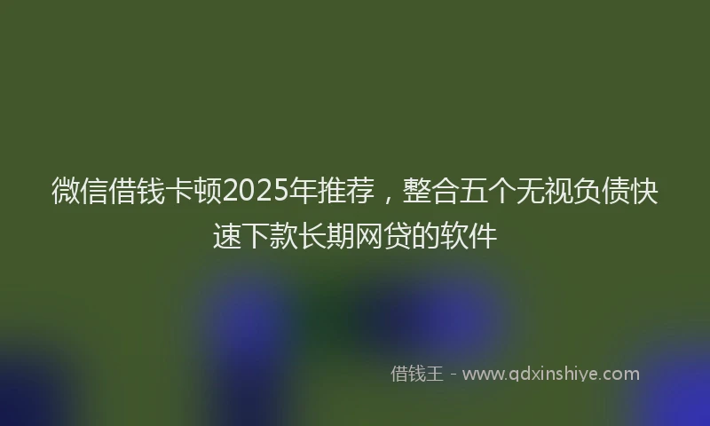 微信借钱卡顿2025年推荐，整合五个无视负债快速下款长期网贷的软件
