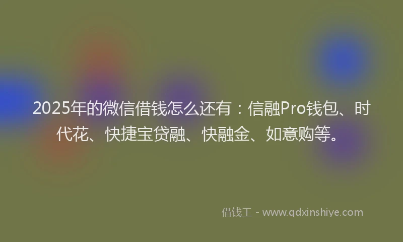 2025年的微信借钱怎么还有：信融Pro钱包、时代花、快捷宝贷融、快融金、如意购等。