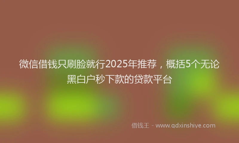微信借钱只刷脸就行2025年推荐，概括5个无论黑白户秒下款的贷款平台